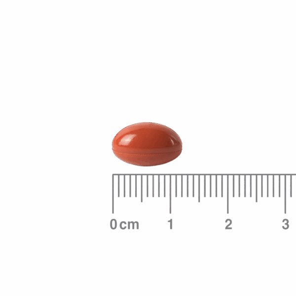 Lamberts Ginger Capsules