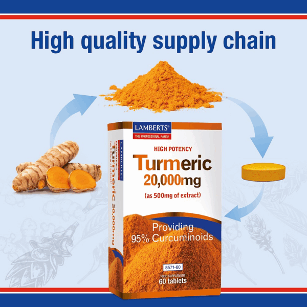 Lamberts High Potency Turmeric 20,000mg
