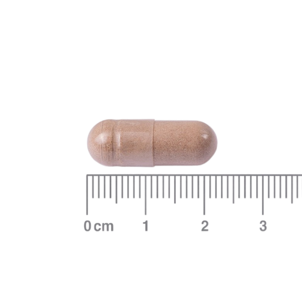 Lamberts L-Theanine 200mg