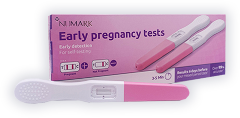 Pregnancy Test