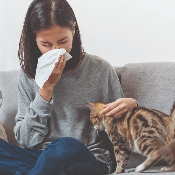 Allergy Tablets